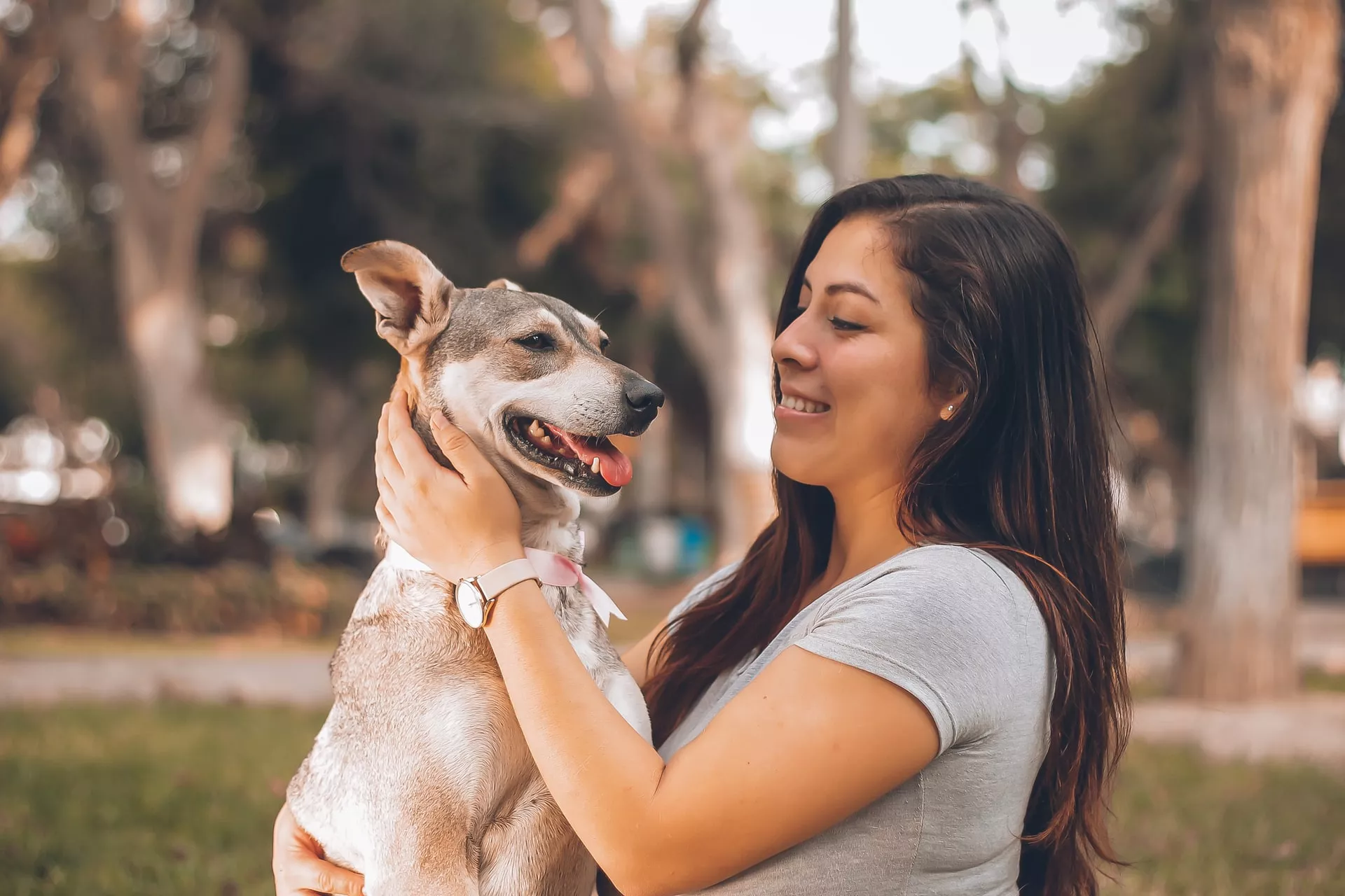 Os Benefícios de Adotar um Pet: Como um Animal de Estimação pode Transformar sua Vida