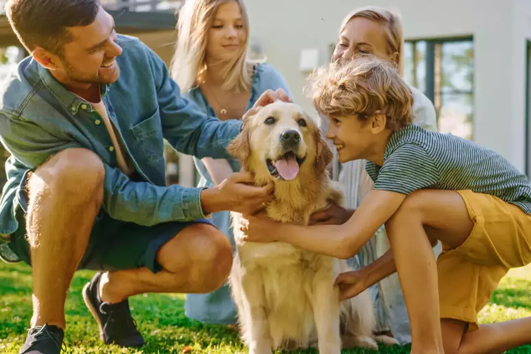 Adoção de Pets Adultos: Conheça 5 Benefícios